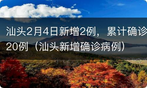 汕头2月4日新增2例，累计确诊20例（汕头新增确诊病例）