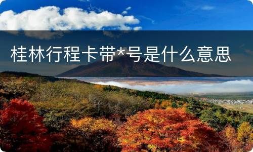 桂林行程卡带*号是什么意思