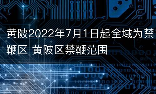 黄陂2022年7月1日起全域为禁鞭区 黄陂区禁鞭范围