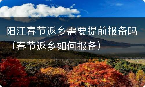 阳江春节返乡需要提前报备吗（春节返乡如何报备）