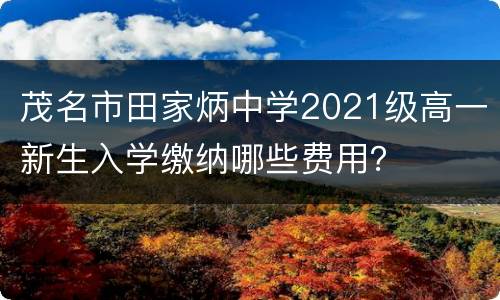 茂名市田家炳中学2021级高一新生入学缴纳哪些费用？