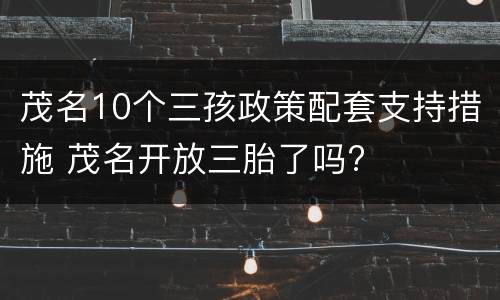 茂名10个三孩政策配套支持措施 茂名开放三胎了吗?