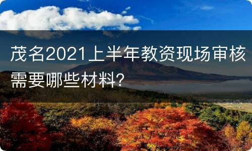 茂名2021上半年教资现场审核需要哪些材料？