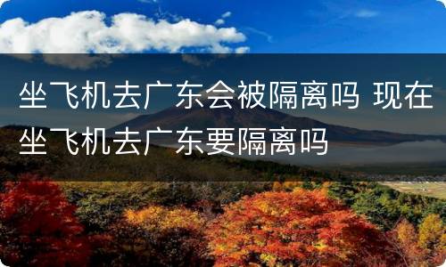 坐飞机去广东会被隔离吗 现在坐飞机去广东要隔离吗