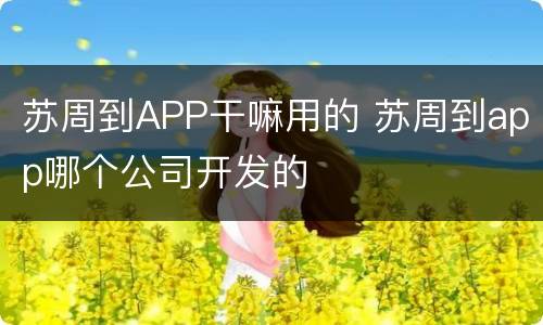 苏周到APP干嘛用的 苏周到app哪个公司开发的