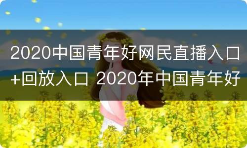 2020中国青年好网民直播入口+回放入口 2020年中国青年好网民