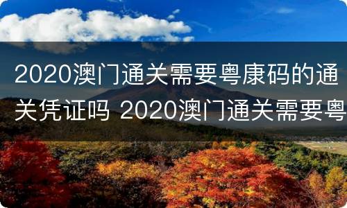 2020澳门通关需要粤康码的通关凭证吗 2020澳门通关需要粤康码的通关凭证吗