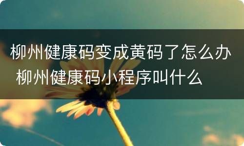 柳州健康码变成黄码了怎么办 柳州健康码小程序叫什么