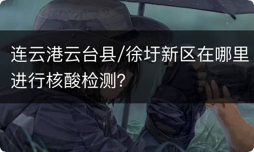 连云港云台县/徐圩新区在哪里进行核酸检测？