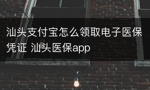 汕头支付宝怎么领取电子医保凭证 汕头医保app
