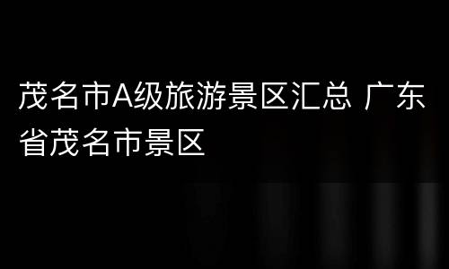 茂名市A级旅游景区汇总 广东省茂名市景区