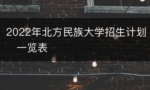 2022年北方民族大学招生计划​一览表