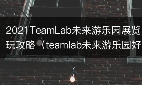 2021TeamLab未来游乐园展览游玩攻略（teamlab未来游乐园好玩吗）