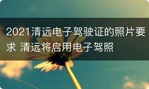 2021清远电子驾驶证的照片要求 清远将启用电子驾照