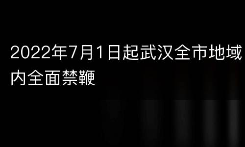 2022年7月1日起武汉全市地域内全面禁鞭