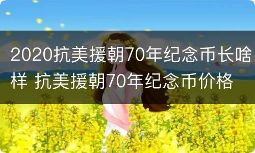 2020抗美援朝70年纪念币长啥样 抗美援朝70年纪念币价格