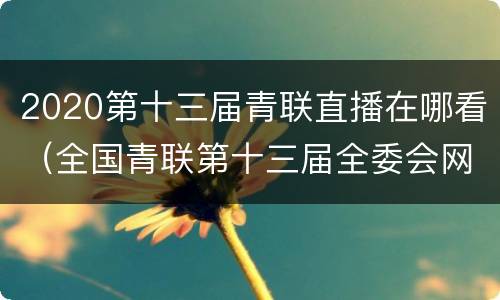 2020第十三届青联直播在哪看（全国青联第十三届全委会网上主题直播回放）