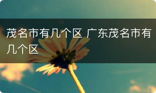 茂名市有几个区 广东茂名市有几个区