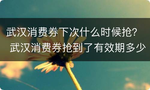 武汉消费券下次什么时候抢？ 武汉消费券抢到了有效期多少天