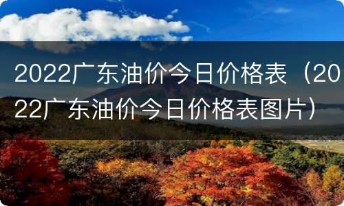 2022广东油价今日价格表（2022广东油价今日价格表图片）
