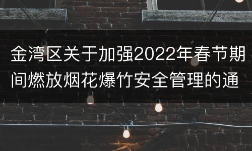 金湾区关于加强2022年春节期间燃放烟花爆竹安全管理的通告