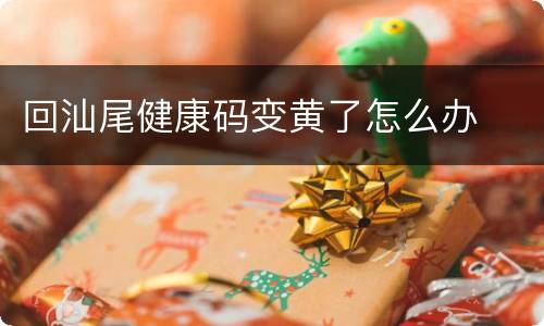 回汕尾健康码变黄了怎么办