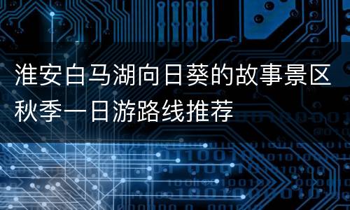 淮安白马湖向日葵的故事景区秋季一日游路线推荐