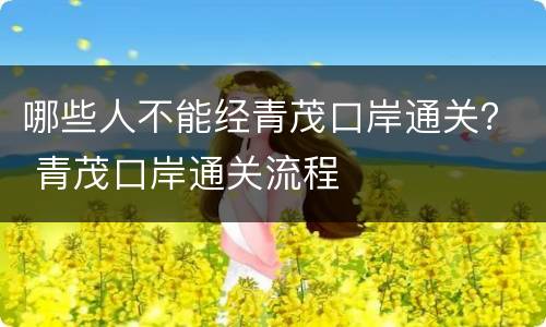 哪些人不能经青茂口岸通关？ 青茂口岸通关流程