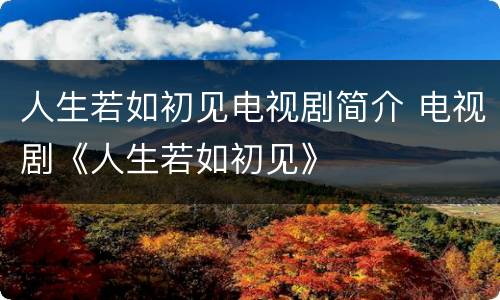 人生若如初见电视剧简介 电视剧《人生若如初见》
