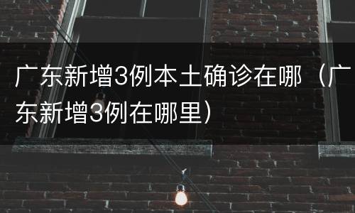 广东新增3例本土确诊在哪（广东新增3例在哪里）