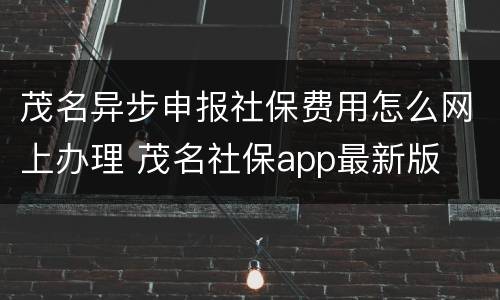 茂名异步申报社保费用怎么网上办理 茂名社保app最新版