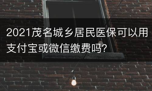 2021茂名城乡居民医保可以用支付宝或微信缴费吗？