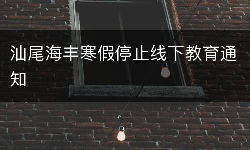 汕尾海丰寒假停止线下教育通知