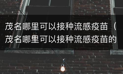 茂名哪里可以接种流感疫苗（茂名哪里可以接种流感疫苗的）