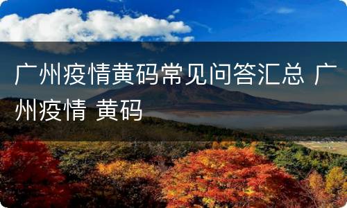 广州疫情黄码常见问答汇总 广州疫情 黄码