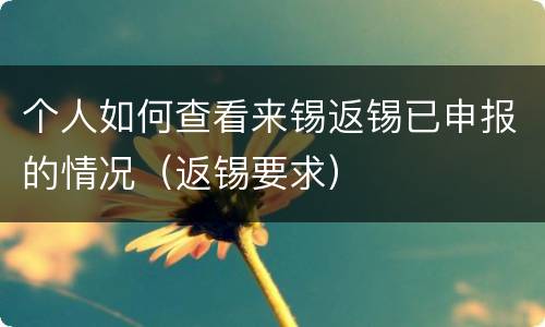 个人如何查看来锡返锡已申报的情况（返锡要求）