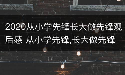 2020从小学先锋长大做先锋观后感 从小学先锋,长大做先锋观后感