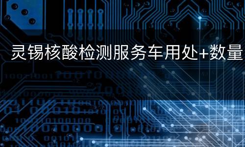 灵锡核酸检测服务车用处+数量