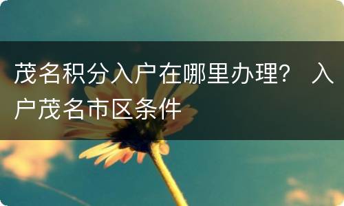 茂名积分入户在哪里办理？ 入户茂名市区条件