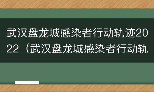 武汉盘龙城感染者行动轨迹2022（武汉盘龙城感染者行动轨迹2022公告）