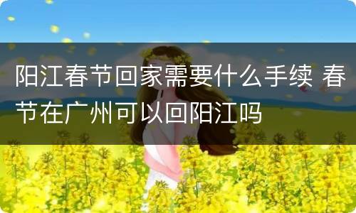 阳江春节回家需要什么手续 春节在广州可以回阳江吗