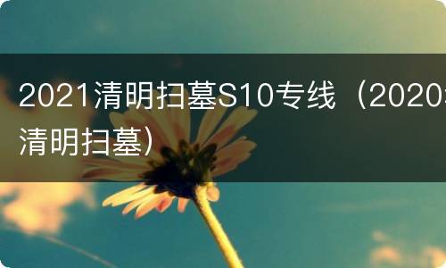 2021清明扫墓S10专线（2020年清明扫墓）