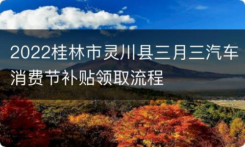 2022桂林市灵川县三月三汽车消费节补贴领取流程