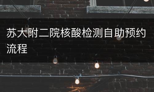 苏大附二院核酸检测自助预约流程