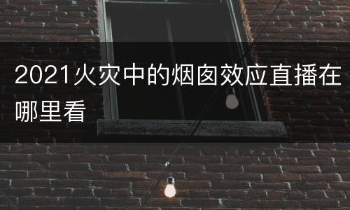 2021火灾中的烟囱效应直播在哪里看