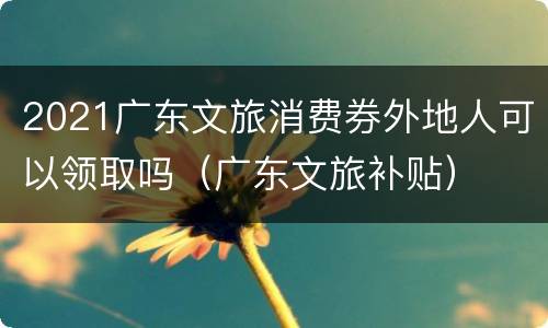 2021广东文旅消费券外地人可以领取吗（广东文旅补贴）