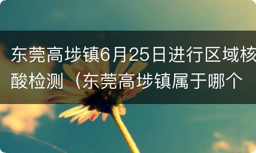 东莞高埗镇6月25日进行区域核酸检测（东莞高埗镇属于哪个区）