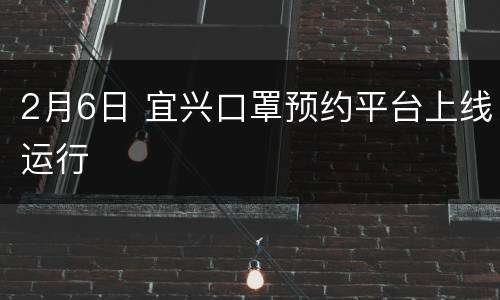 2月6日 宜兴口罩预约平台上线运行