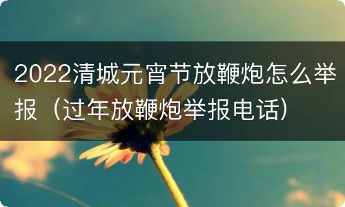 2022清城元宵节放鞭炮怎么举报（过年放鞭炮举报电话）