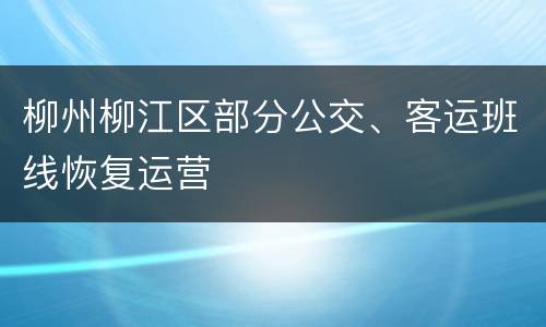 柳州柳江区部分公交、客运班线恢复运营